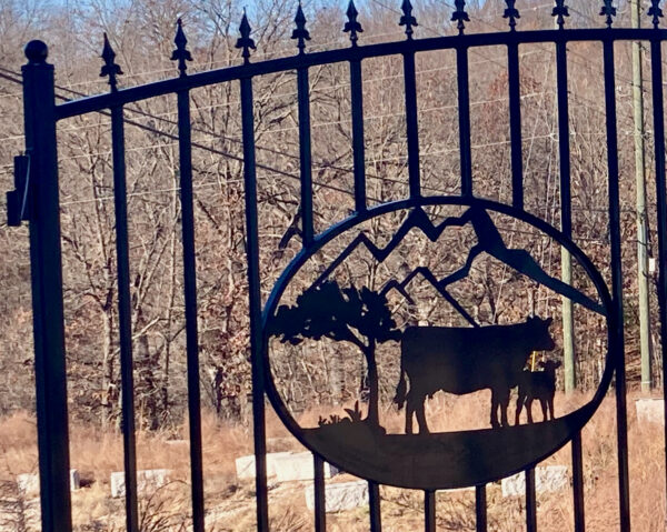 cow calf driveway gates