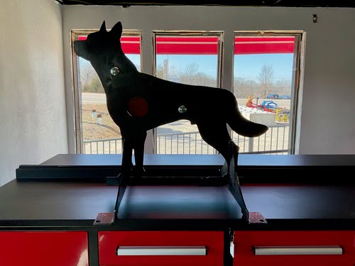 “EL COYOTE” Gong Target