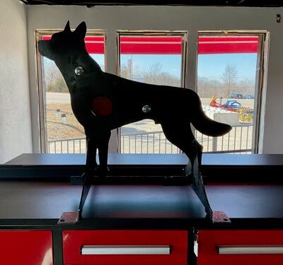 "EL COYOTE" Gong Target