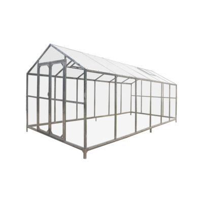 8' x 20' Greenhouse with Galvanized Steel Frame